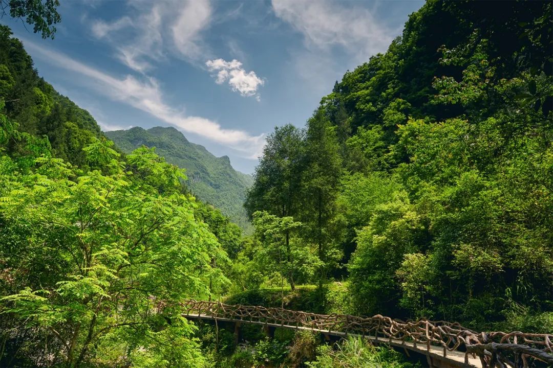 清明趣踏青|巴山大峡谷景区免门票!不看就亏大了