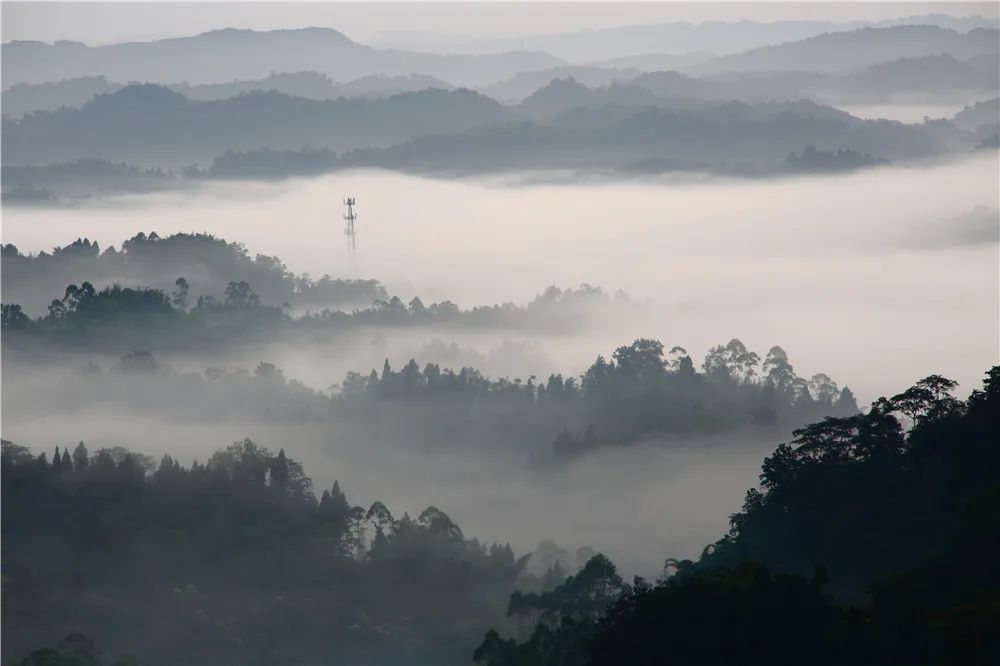 沐川"卡防坡"日出 美得"不像话"