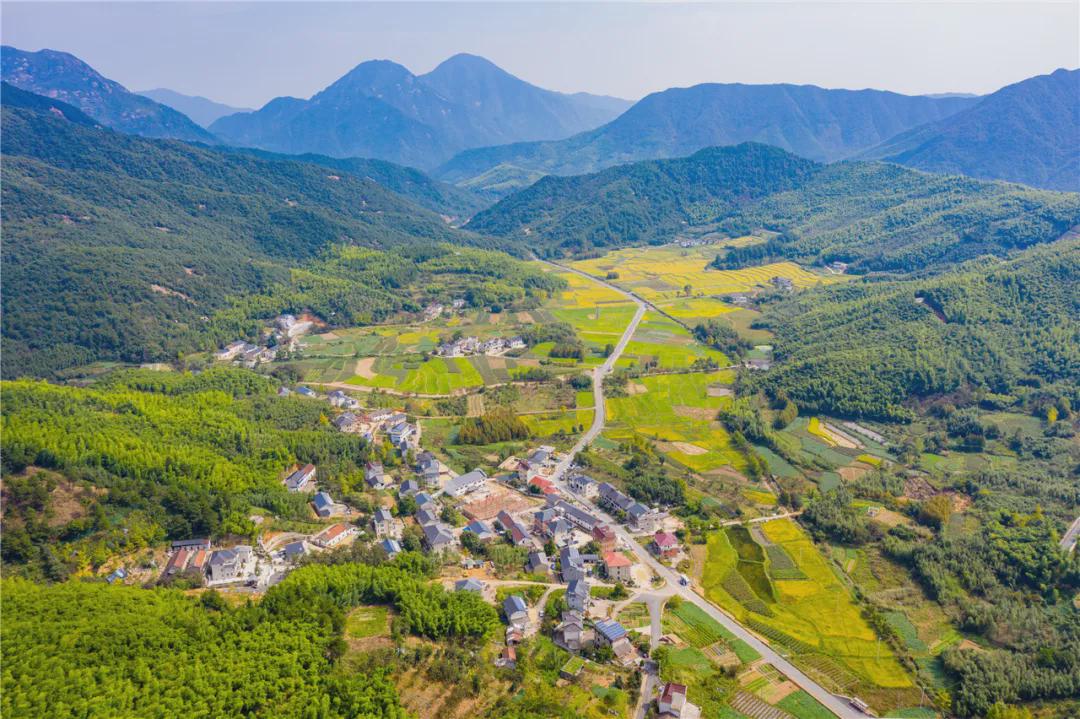 用"奖项"的方式见证临安湍口镇的发展!美不胜收,未来可期