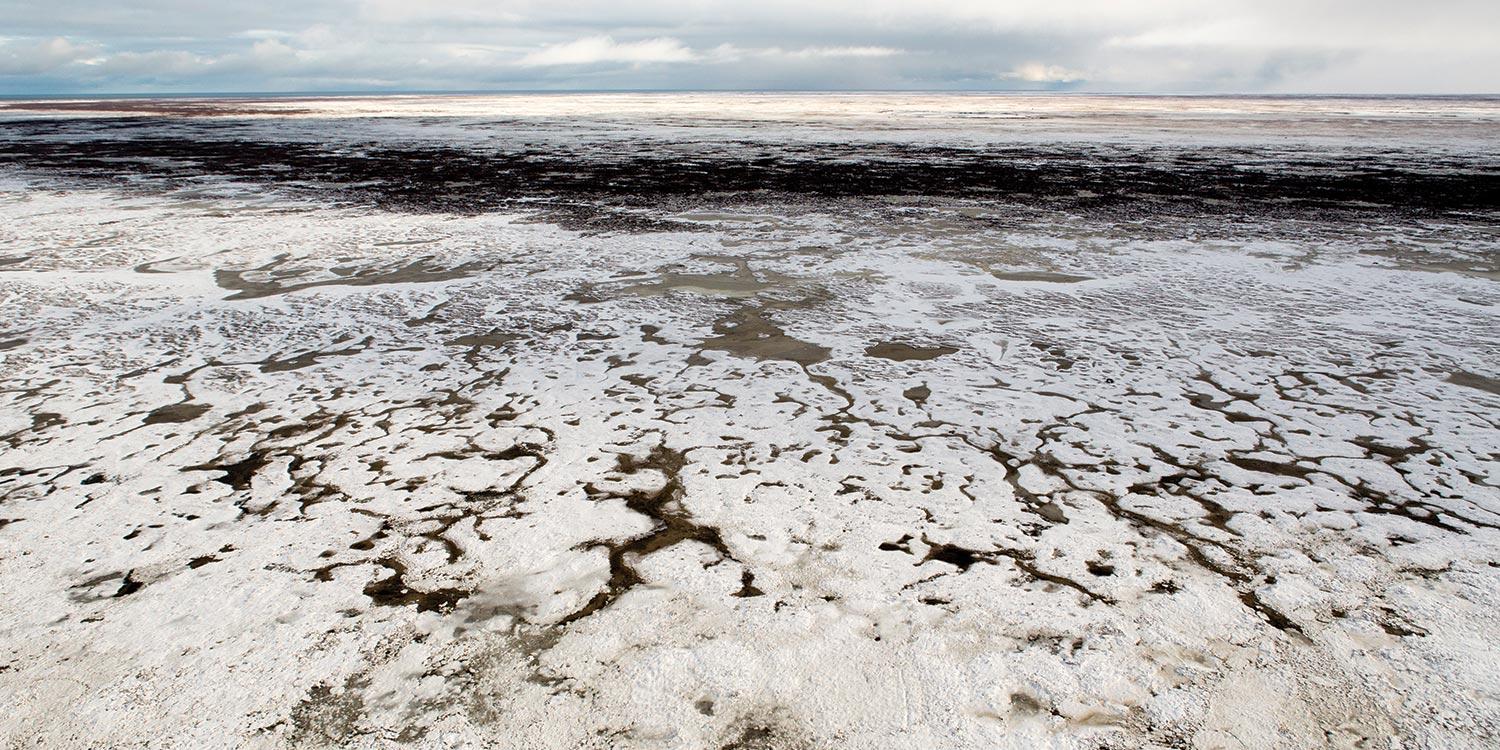 48度!北极出现罕见高温,如果冻土解冻,哪个国家会受益?