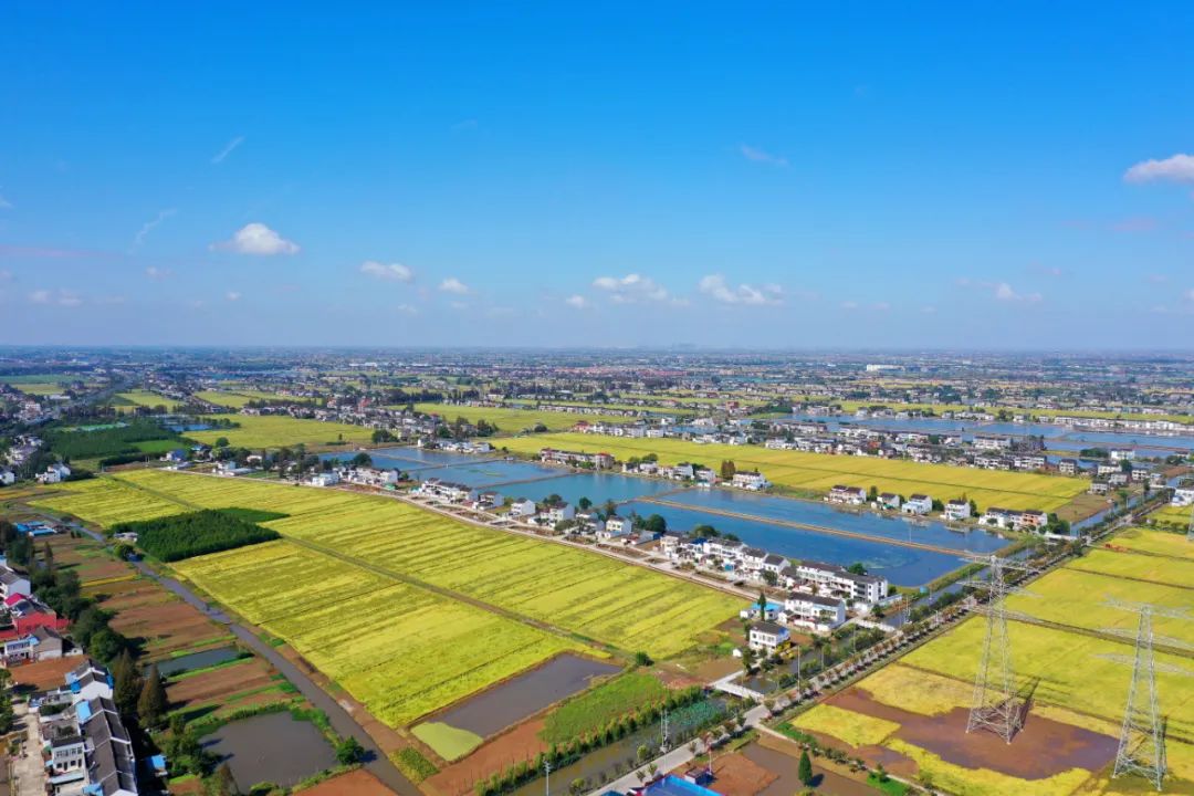 唐甸村唐甸海陵區戴窯鎮新花園村花園頭興化市孤山鎮勤豐村白家組東組