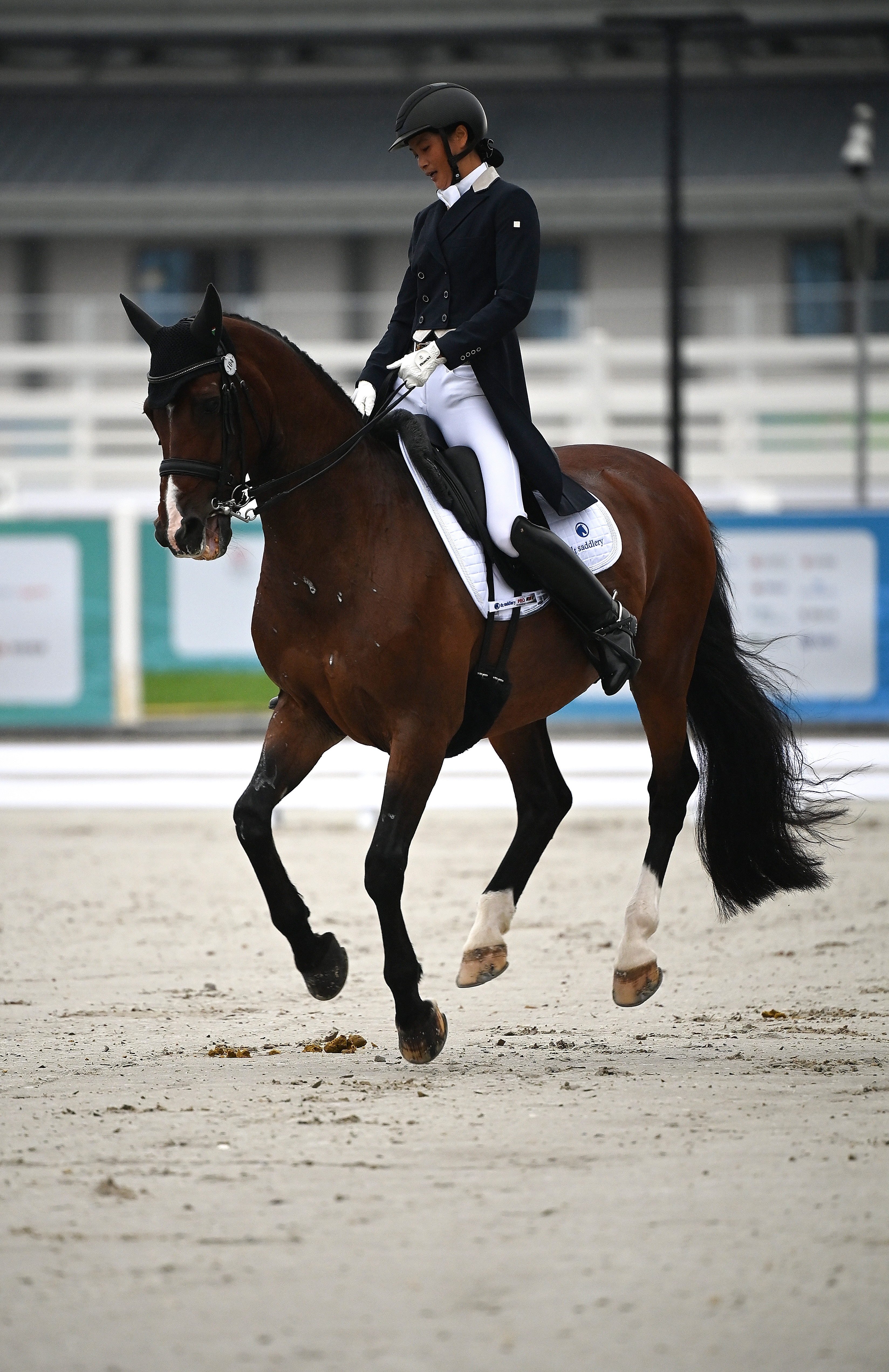 马术——盛装舞步团体赛况:广东队夺冠