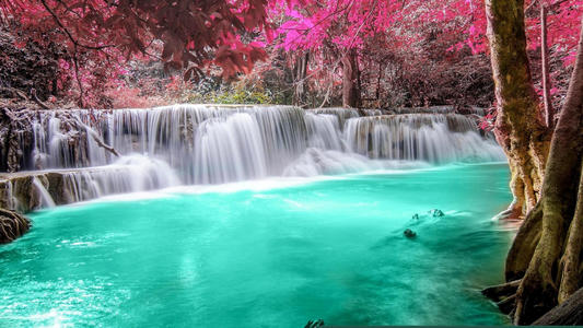 属蛇招财山水风景实景图片