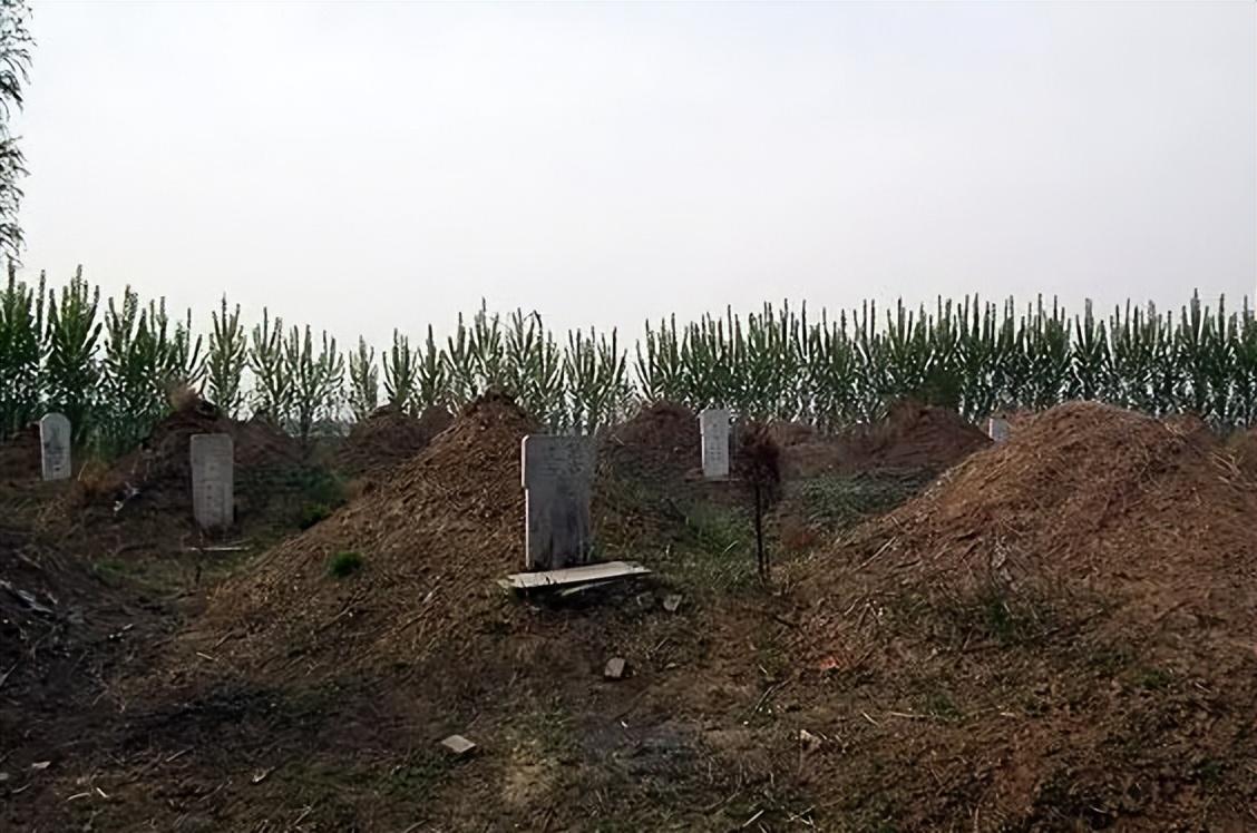 中国农村坟墓样式图片图片