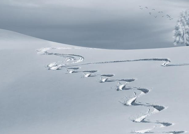 如何在经济寒冬下保全自己?一是麻木,二是糟践自己