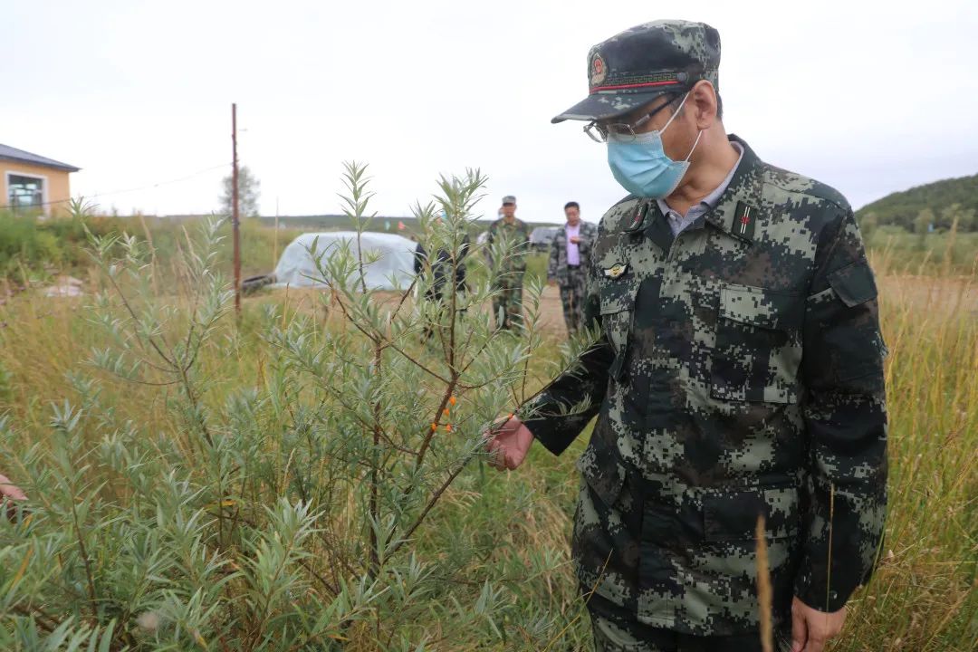 大兴安岭林业集团公司党委常委,副总经理刘志深入加林局