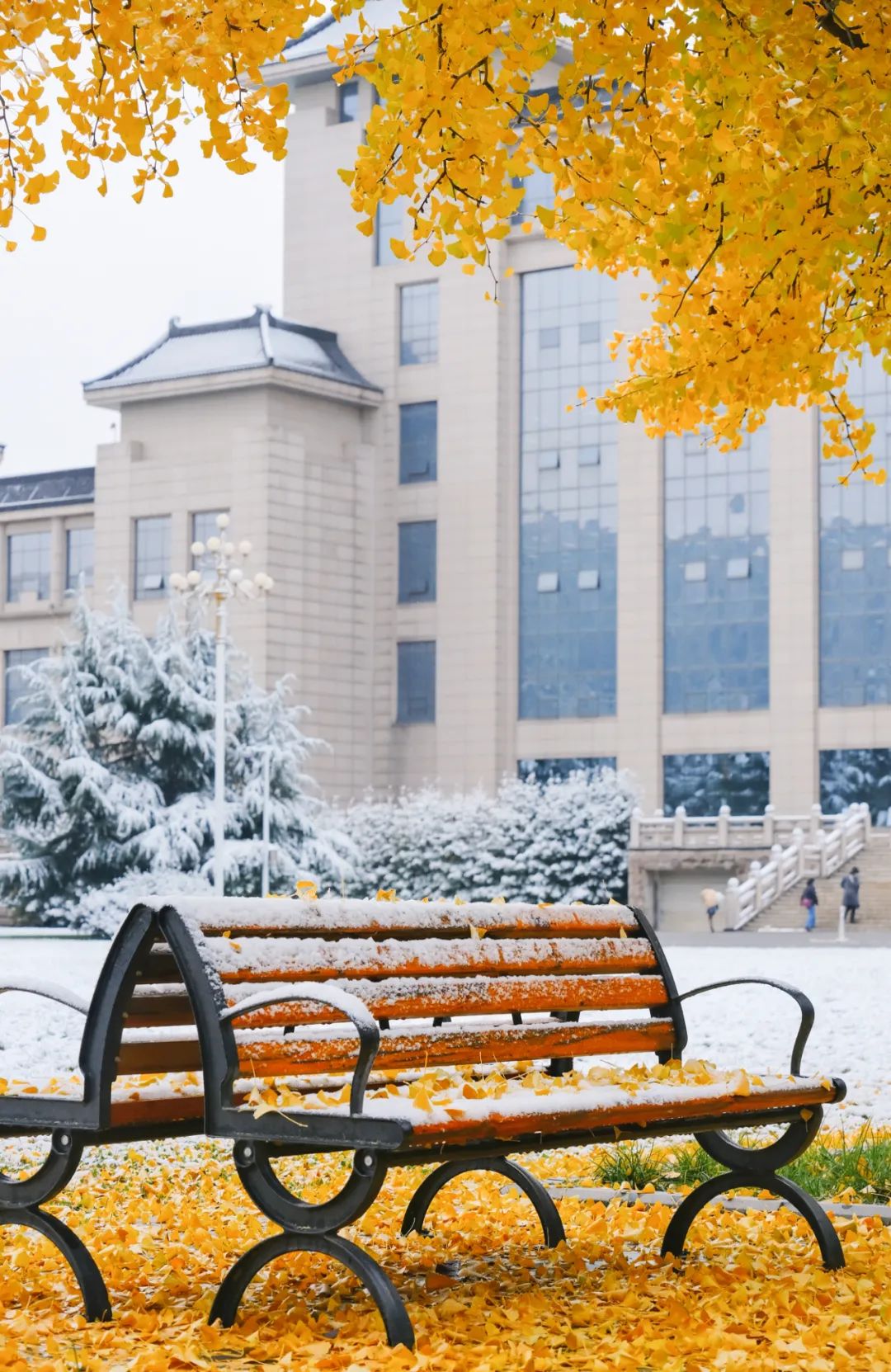 陕西师范大学雁塔校区图片