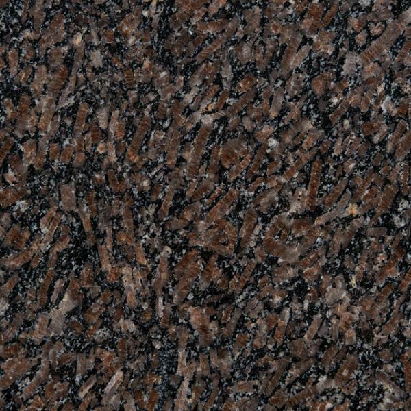 产区|山东皇室啡钻