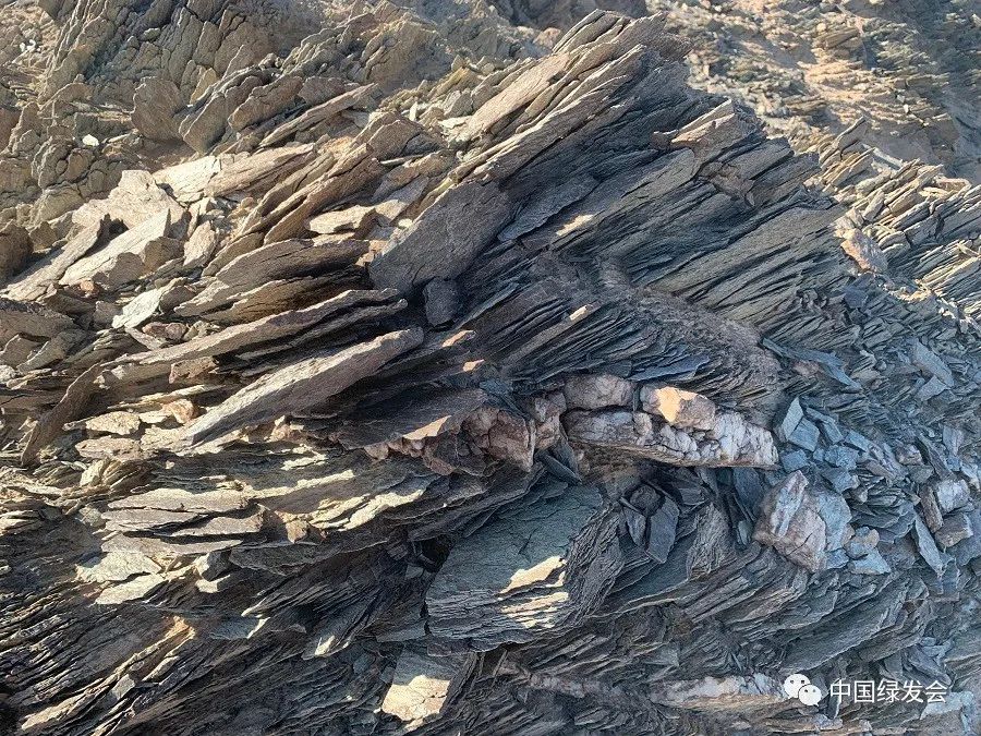 2021罗布泊科考:"大耳朵"以东,深入罗布泊100公里无人区