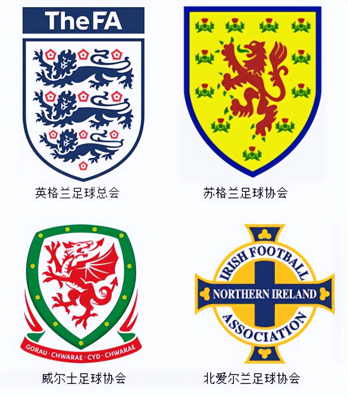 比利时"海瑟尔":世界第一流氓的狱中发言,竟改变欧洲格局!