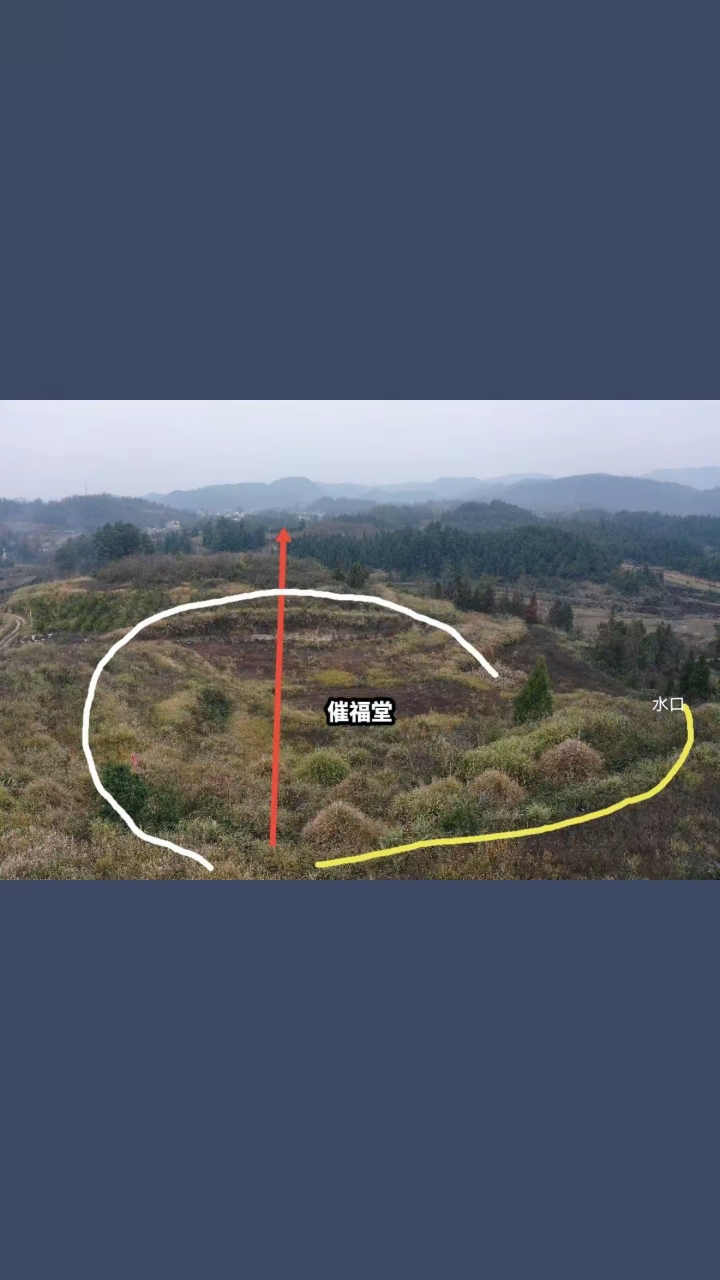 青龙转案,长房兴,富贵双全