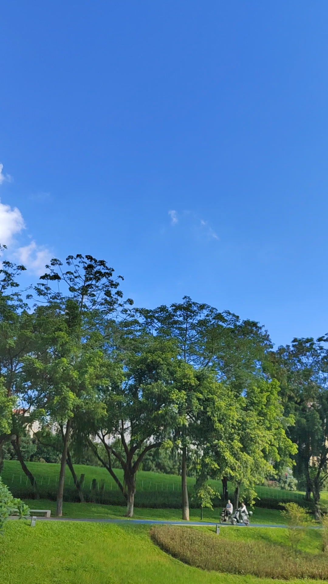 夏日早晨蓝蓝的天空