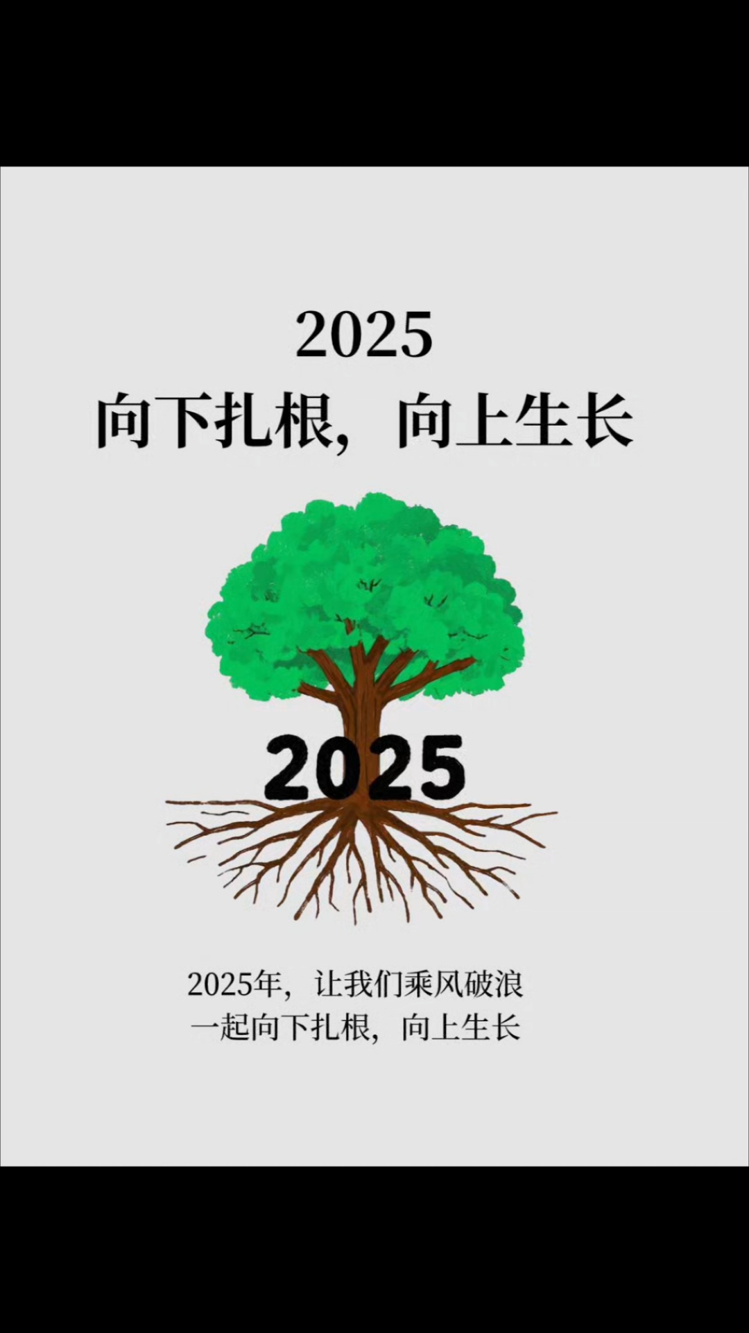 2025向下扎根,向上生长!