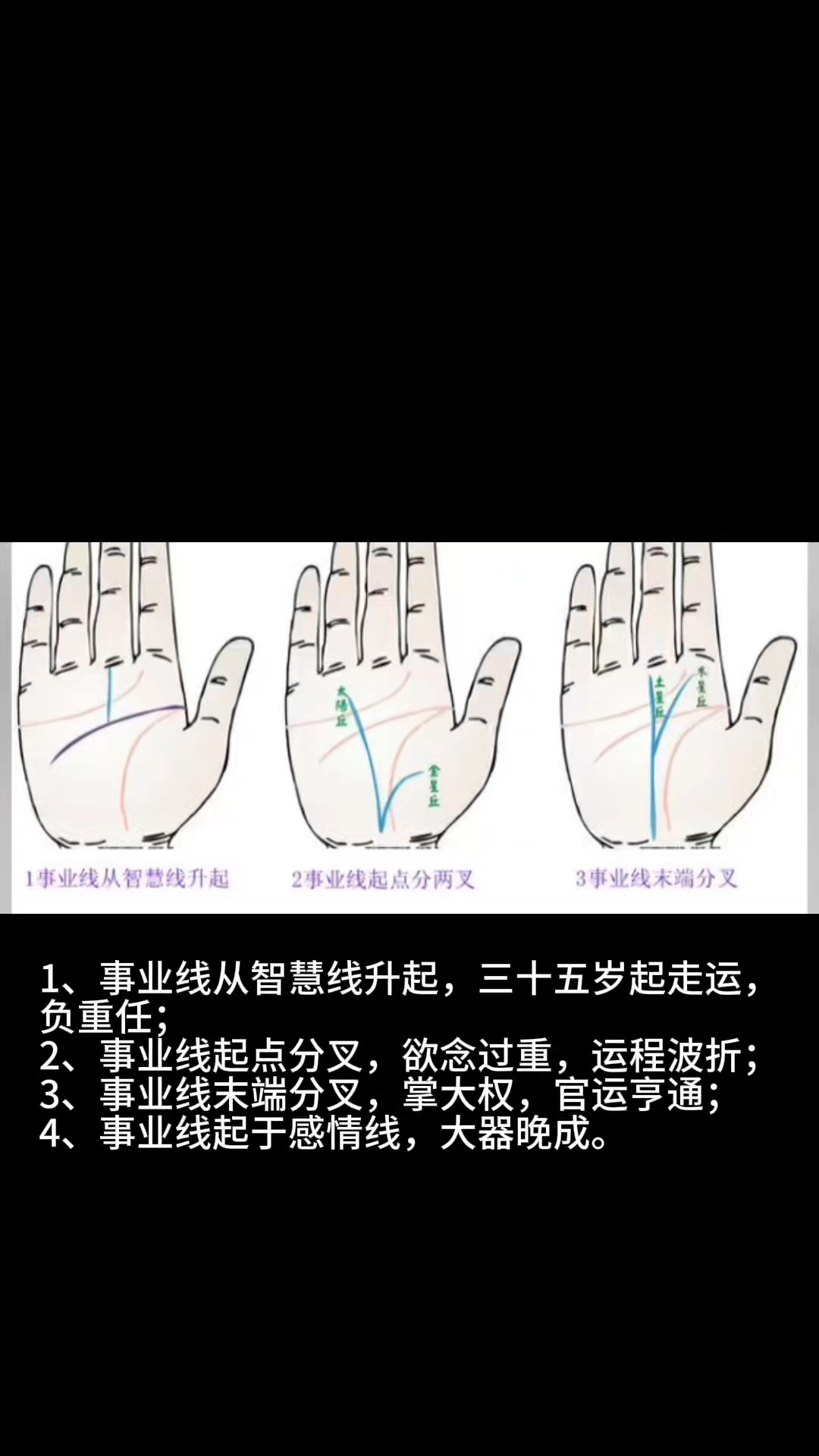 1,事业线从智慧线升起,三十五岁起走运,负重任;#手相面相