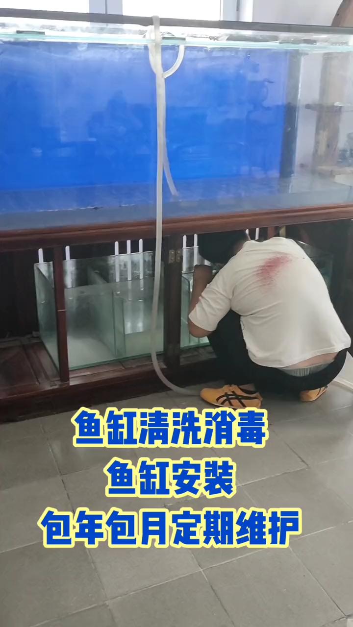 北京上门鱼缸清洗,鱼缸维护.