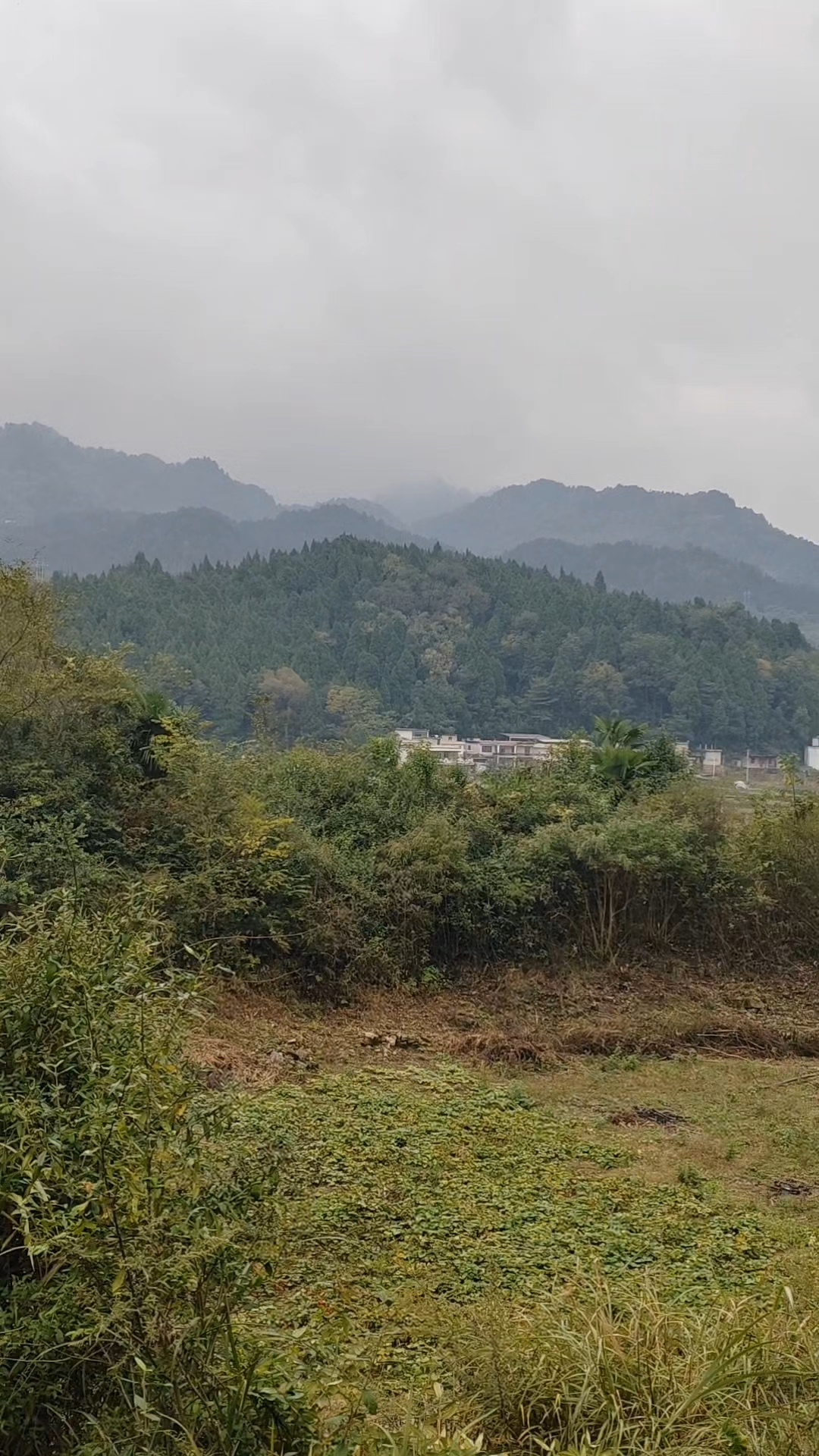 眠弓一案,积金千万!