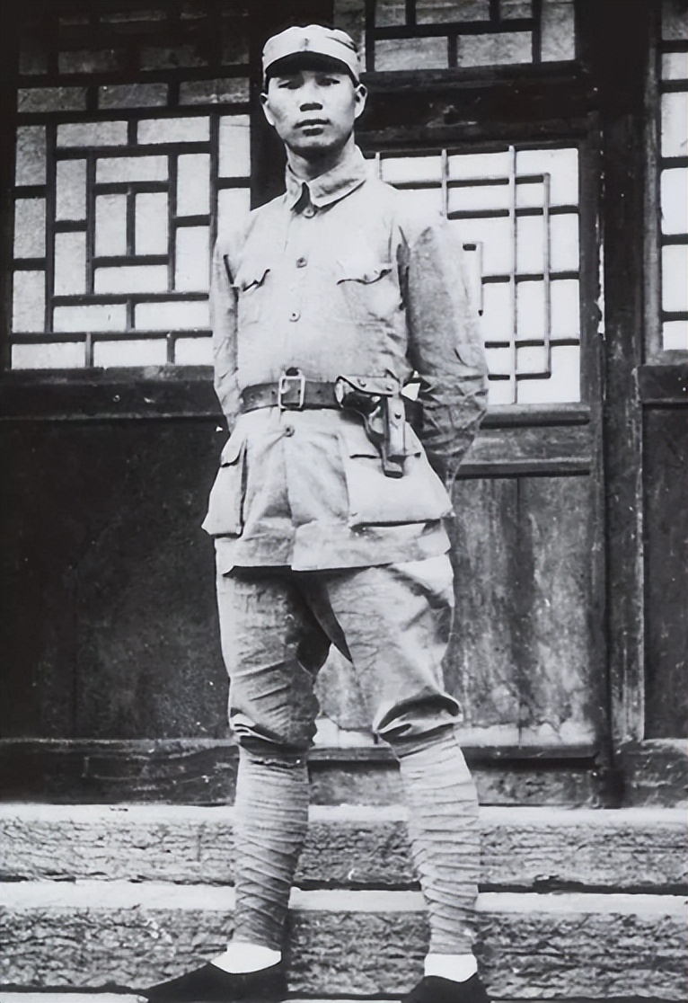 1976年皮定均不幸遇难,邓公点将杨成武:到了用一用你大名的时候