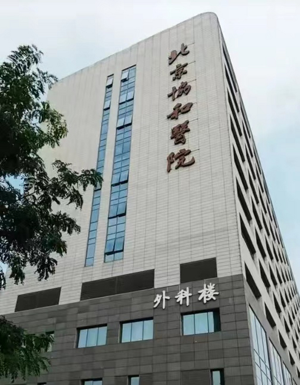 北京协和医院,湖南有位大哥,忽然咳得厉害,跑了三家医院,掏了几万块钱