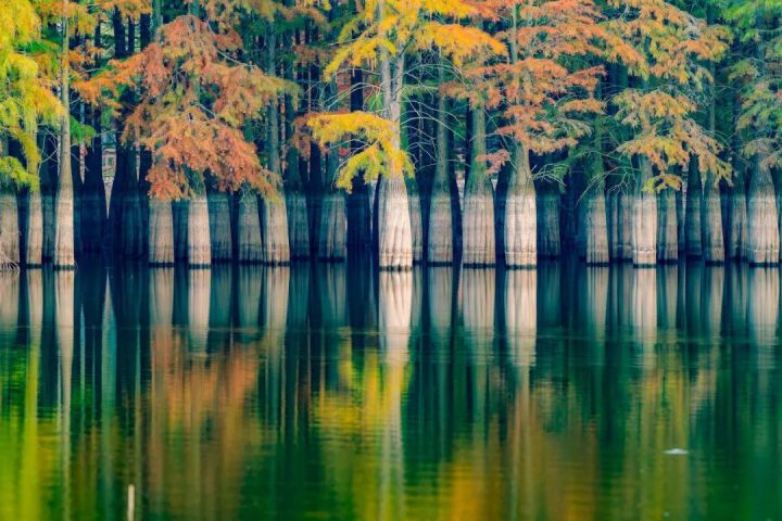 南京惊现"天空之境",媲美茶卡,美到窒息