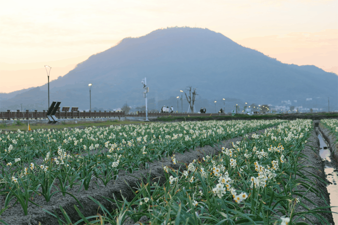 看福建如何点亮"强农""兴农"梦