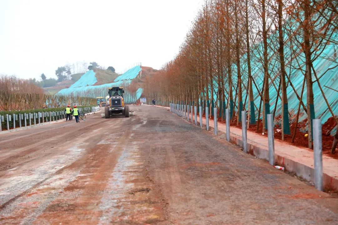 杨青 摄12月14日,渝北茨竹镇大面坡村,川渝高竹新区南北大道三期工程