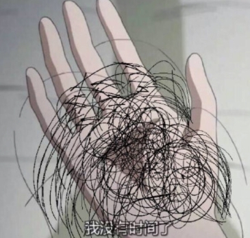 365植发(365直播足球直播)