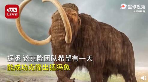 热点|全球首例！科学家用40年前冷冻基因，克隆出普氏野马，网友：恐龙呢