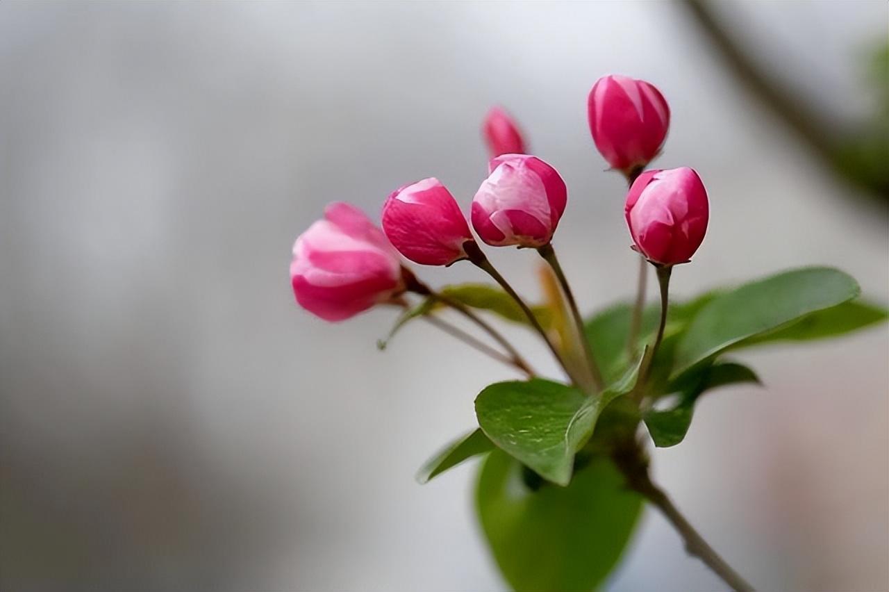 不回微信的人,就这么对付,很聪明也很有格局