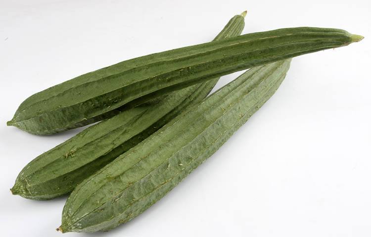 缤纷六月 | 温柔丝瓜 增添阳刚之味