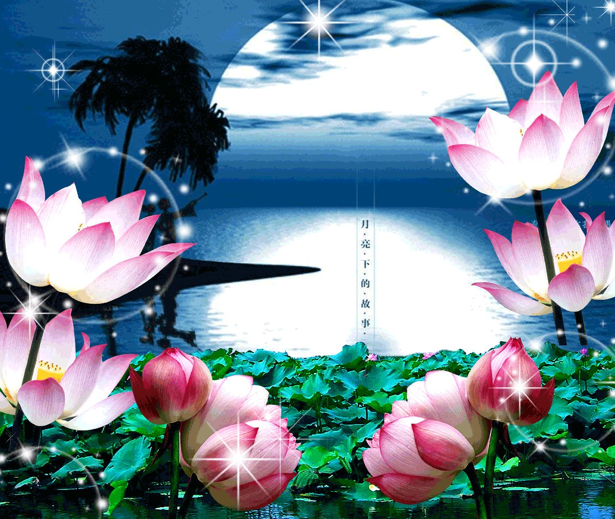 漫漫求索信仰路 "月夜蝉声"喻光明 ——《荷塘月色》有感(一)