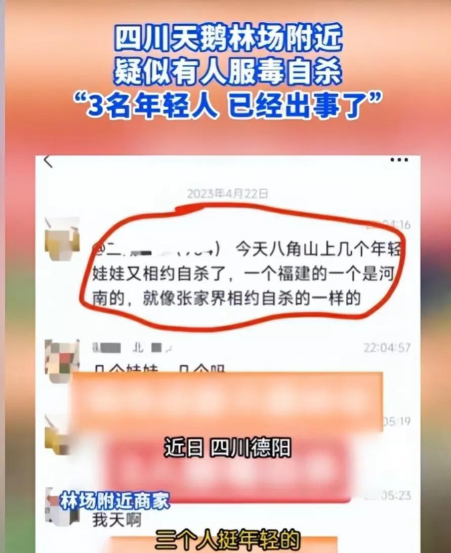 心碎!生又何欢,死又何惧,四川什邡林场三名年轻人身份曝光