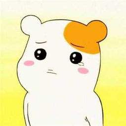 央视康辉高考差点被"顶替"?