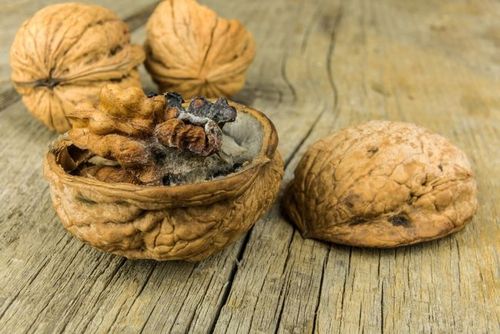 发霉的花生含黄曲霉素,不仅有毒还致癌?医生:这6物,少碰为妙