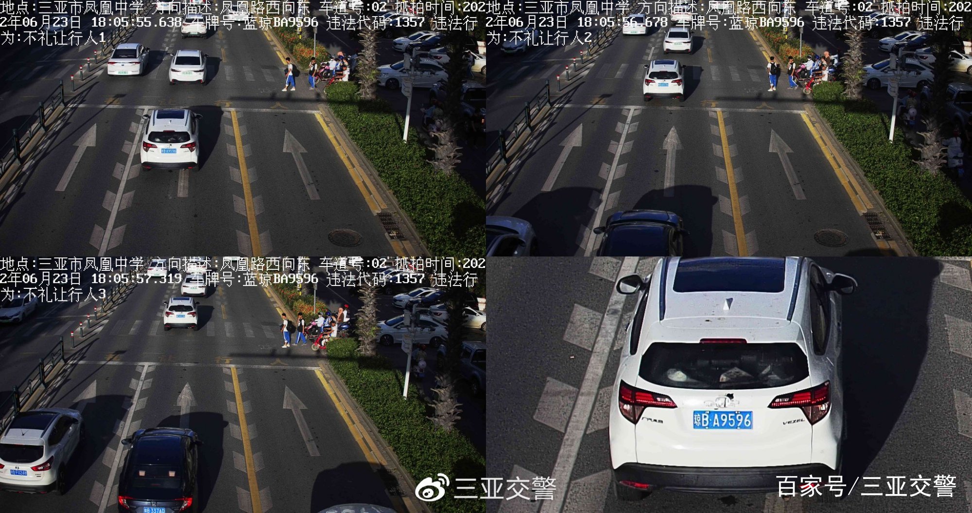 不文明交通行为曝光台｜机动车未礼让斑马线（七十四）(图6)