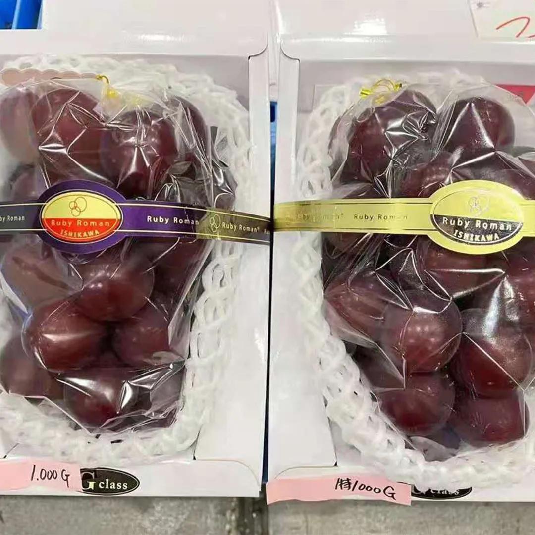 世界最贵的葡萄-罗马红宝石葡萄,普通人吃不起?