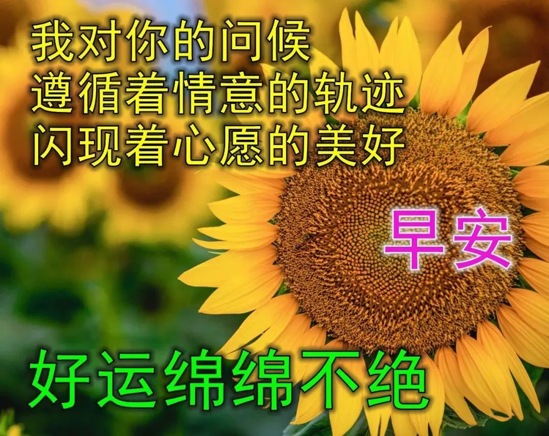 三月祝福图片,早上好图片