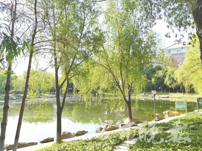 长春裕华园:一个具有历史沉淀 且风景优美的网红打卡地