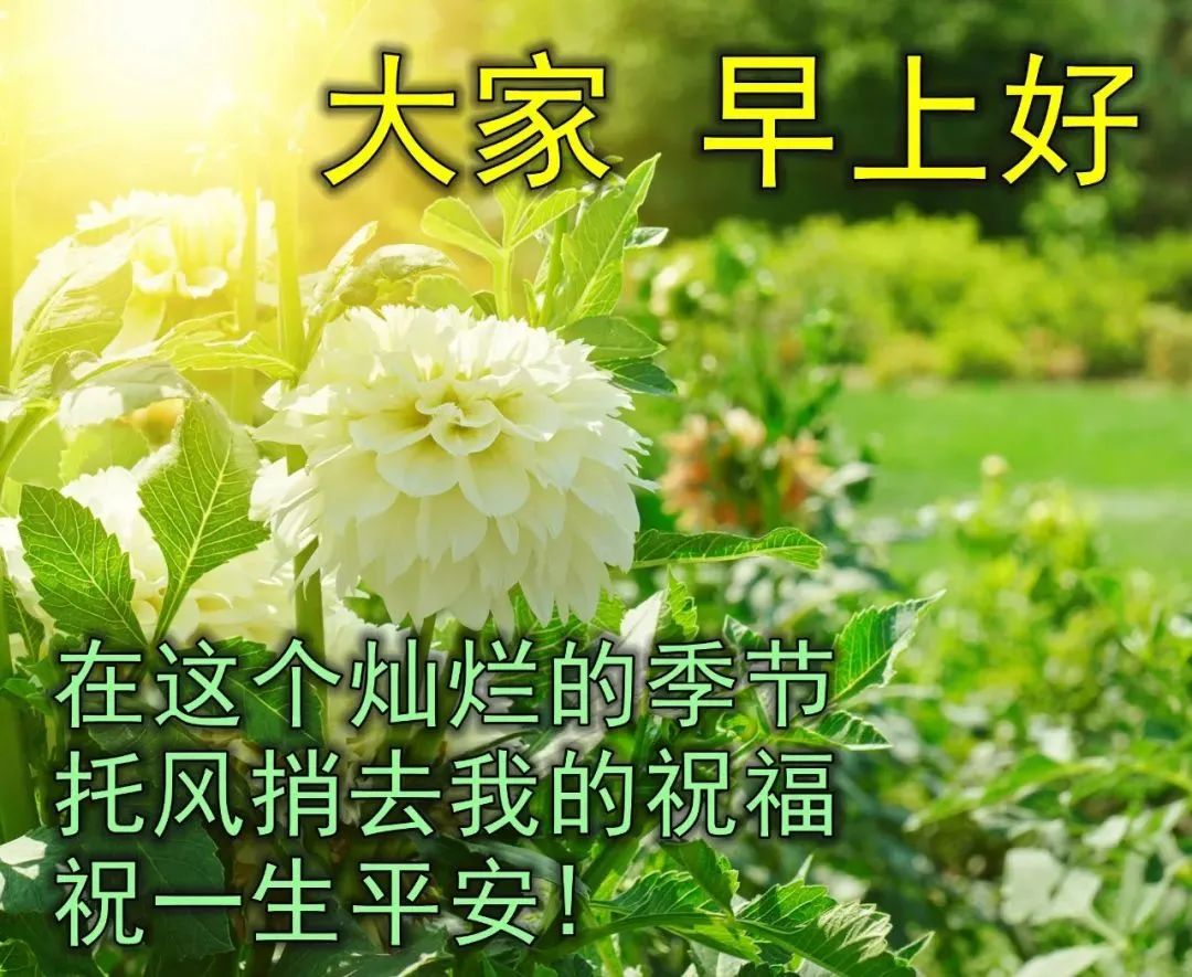 非常漂亮的美女早安祝福表情圖片帶字 溫馨的早上好問候心語語錄