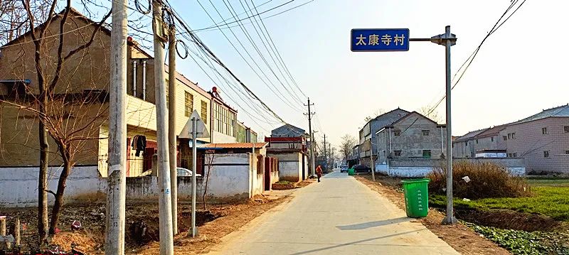 淮阳四通镇有座千年古寺,寺内有两棵奇特的古树