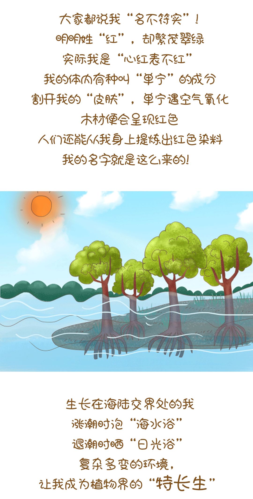 特别绘制|听!红树林有话对你说