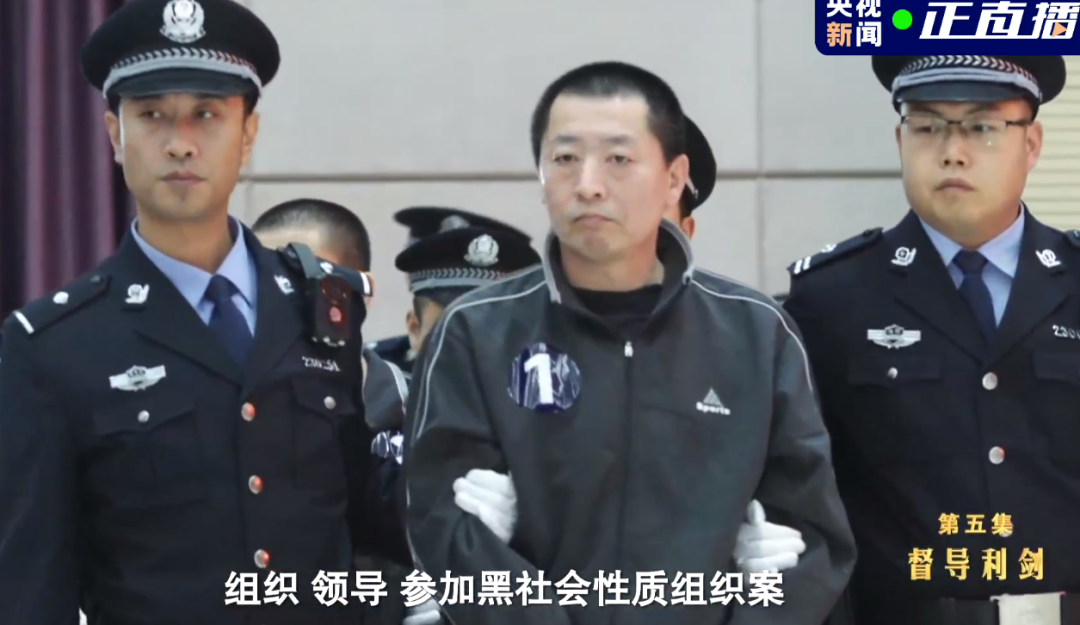 黑恶势力承诺"让你进市领导班子",区长甘愿成为"保护伞"