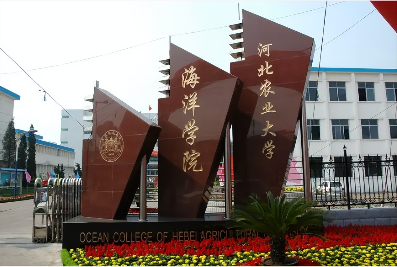 网友建议河北农业大学海洋学院独立建制河北海洋大学,官方回复了