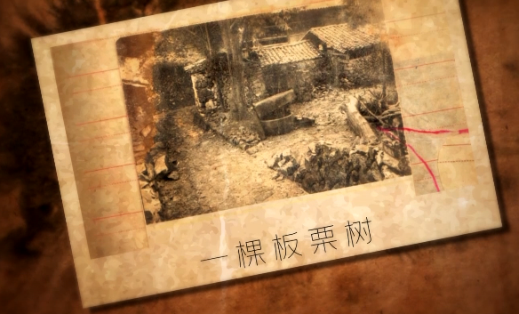 |因一棵板栗树,他抽出尖刀刺向对方,死后11年仍没逃过警方追捕
