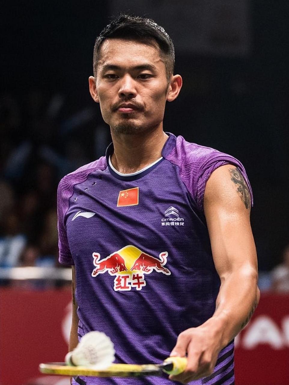 陶菲克:回顾羽毛球历史,最强球员只有这四人,我绝对够资格  说起羽毛