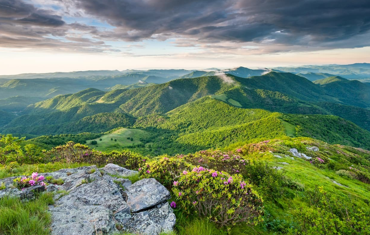 探秘:阿巴拉契亚山区中的动物,悠闲的山地"居民"!