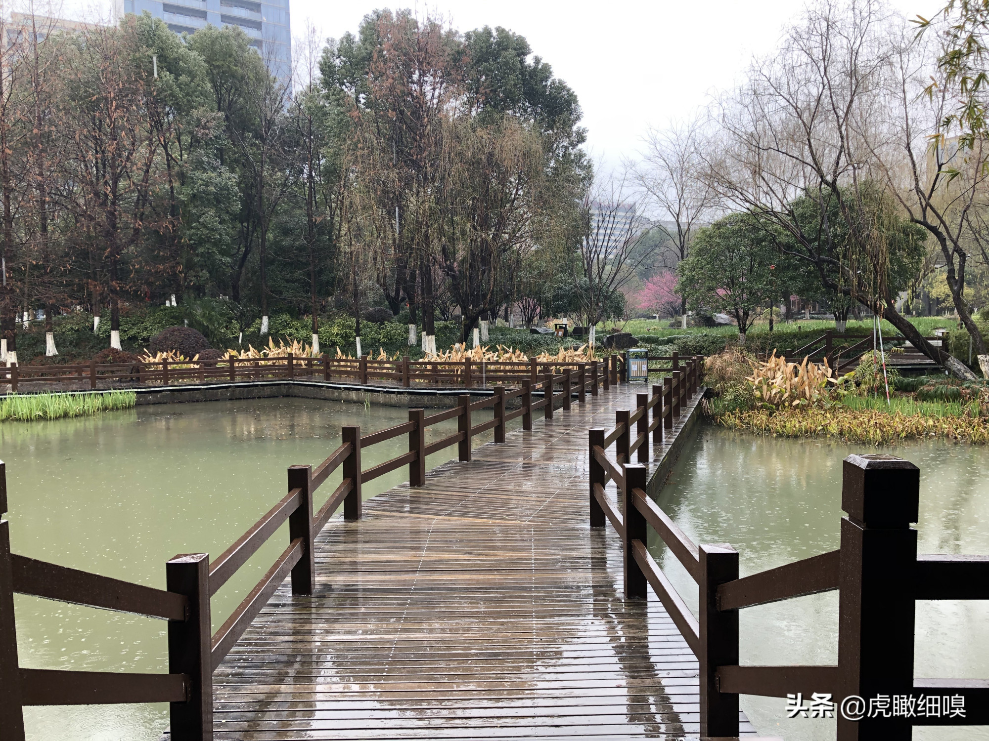 临平水景公园:好似散落于闹市中的一串珍珠的公园