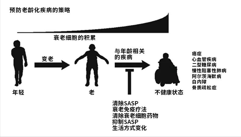 羊胎素有用嗎?瑞士官媒,cctv一起揭開這個智商稅