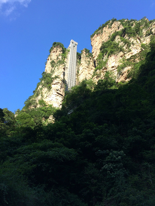 張家界玻璃橋大峽谷天門山4天旅遊筆記拿走不謝