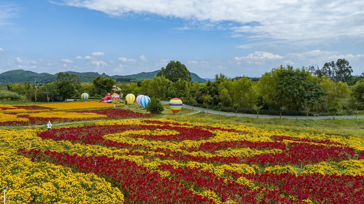 富川花海图片