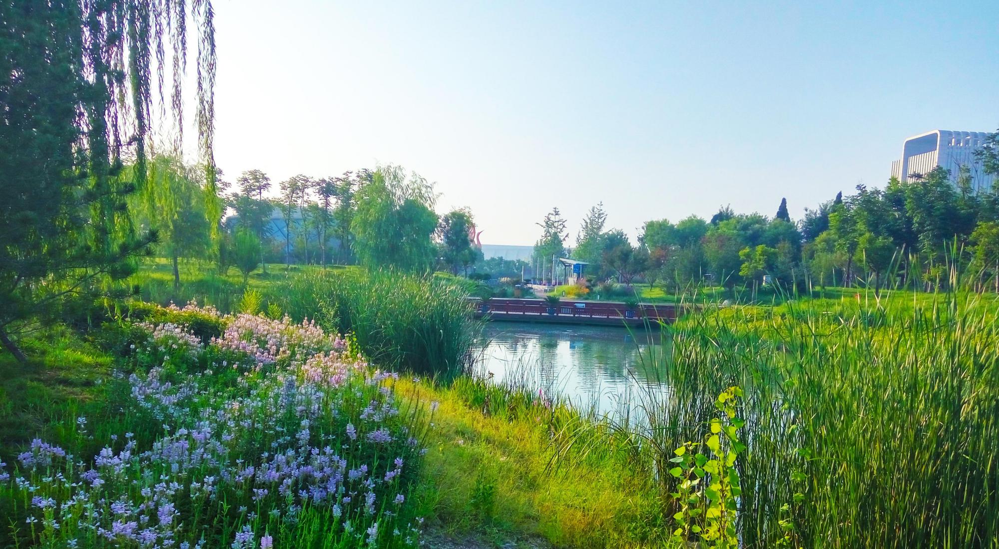 鹤壁市桃园公园:海绵城市公园建设的典范